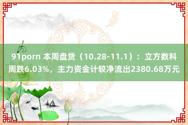 91porn 本周盘货（10.28-11.1）：立方数科周跌6.03%，主力资金计较净流出2380.68万元