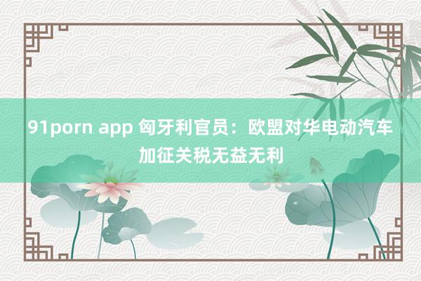 91porn app 匈牙利官员：欧盟对华电动汽车加征关税无益无利