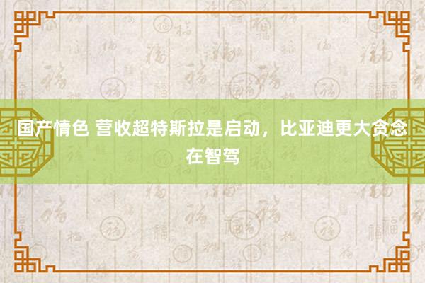 国产情色 营收超特斯拉是启动，比亚迪更大贪念在智驾