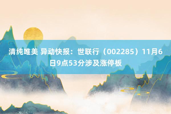 清纯唯美 异动快报：世联行（002285）11月6日9点53分涉及涨停板