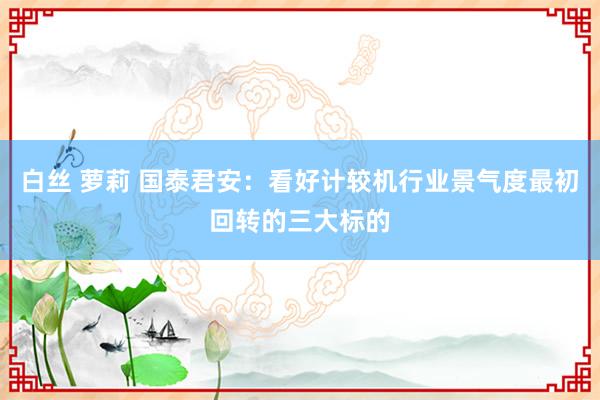 白丝 萝莉 国泰君安：看好计较机行业景气度最初回转的三大标的