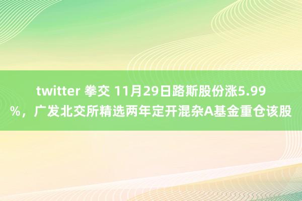 twitter 拳交 11月29日路斯股份涨5.99%，广发北交所精选两年定开混杂A基金重仓该股