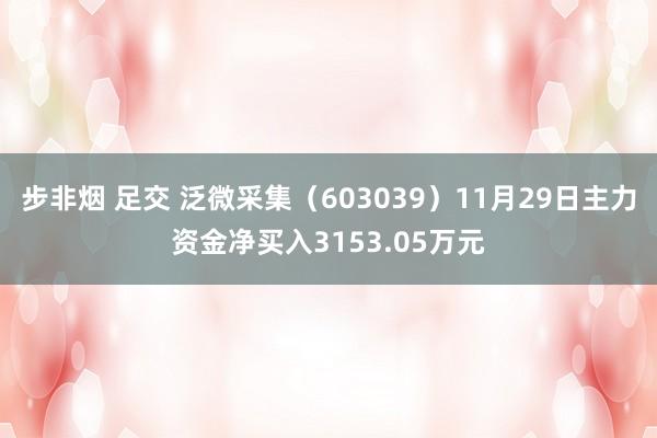 步非烟 足交 泛微采集（603039）11月29日主力资金净买入3153.05万元