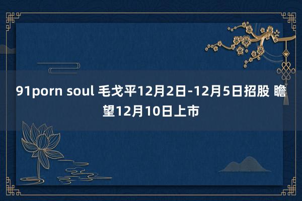 91porn soul 毛戈平12月2日-12月5日招股 瞻望12月10日上市