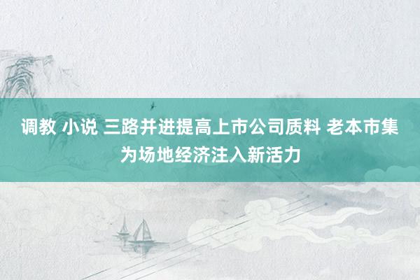 调教 小说 三路并进提高上市公司质料 老本市集为场地经济注入新活力