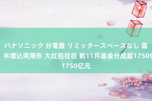 パナソニック 分電盤 リミッタースペースなし 露出・半埋込両用形 大红包往往 前11月基金分成超1750亿元