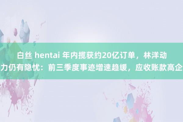 白丝 hentai 年内揽获约20亿订单，林洋动力仍有隐忧：前三季度事迹增速趋缓，应收账款高企