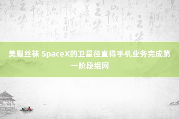 美腿丝袜 SpaceX的卫星径直得手机业务完成第一阶段组网