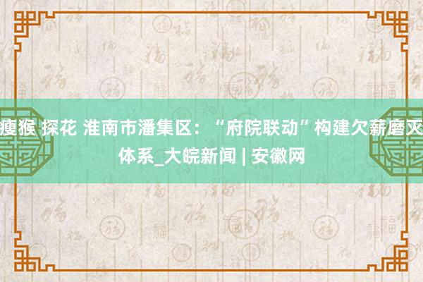 瘦猴 探花 淮南市潘集区：“府院联动”构建欠薪磨灭体系_大皖新闻 | 安徽网