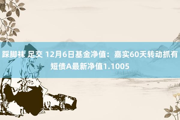 踩脚袜 足交 12月6日基金净值：嘉实60天转动抓有短债A最新净值1.1005