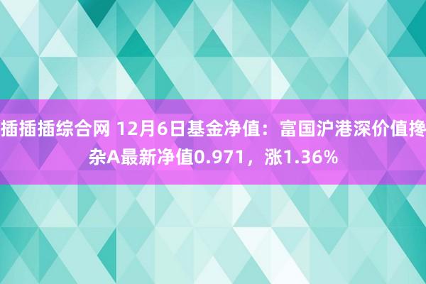 插插插综合网 12月6日基金净值：富国沪港深价值搀杂A最新净值0.971，涨1.36%