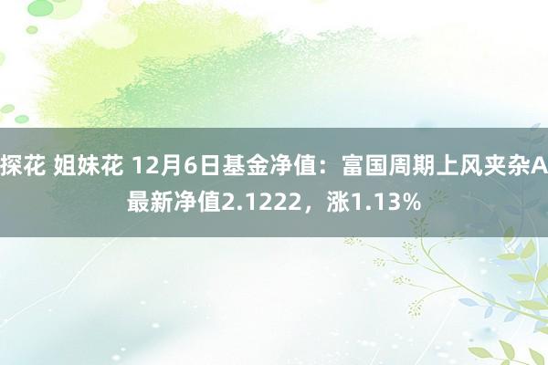 探花 姐妹花 12月6日基金净值：富国周期上风夹杂A最新净值2.1222，涨1.13%