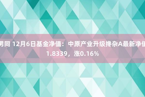 男同 12月6日基金净值：中原产业升级搀杂A最新净值1.8339，涨0.16%