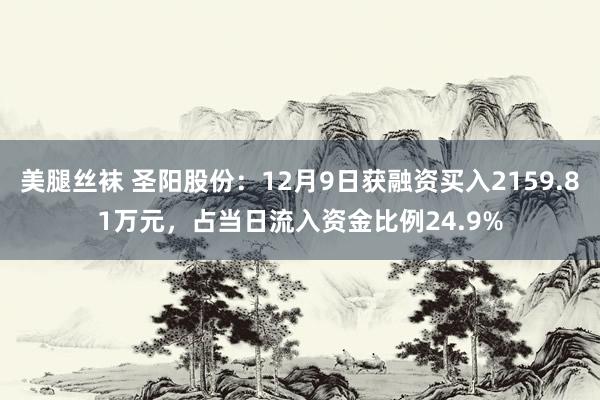 美腿丝袜 圣阳股份：12月9日获融资买入2159.81万元，占当日流入资金比例24.9%