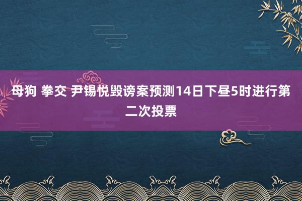 母狗 拳交 尹锡悦毁谤案预测14日下昼5时进行第二次投票