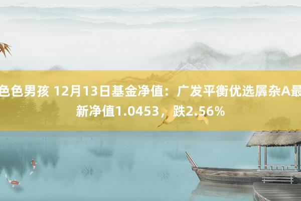 色色男孩 12月13日基金净值：广发平衡优选羼杂A最新净值1.0453，跌2.56%