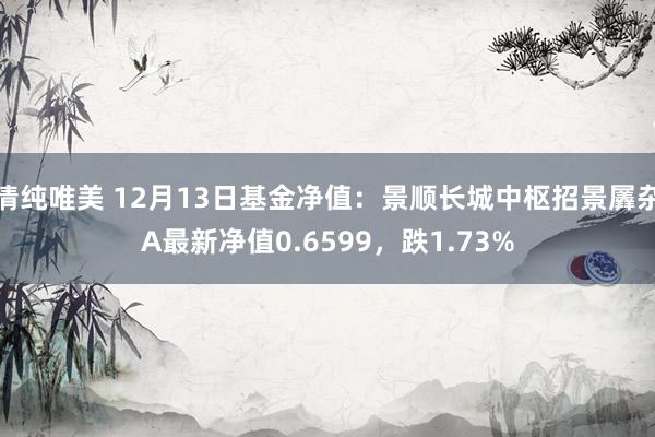 清纯唯美 12月13日基金净值：景顺长城中枢招景羼杂A最新净值0.6599，跌1.73%