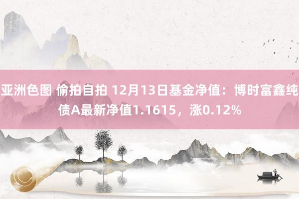 亚洲色图 偷拍自拍 12月13日基金净值：博时富鑫纯债A最新净值1.1615，涨0.12%