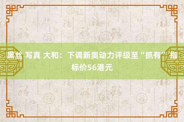 黑丝 写真 大和：下调新奥动力评级至“抓有” 指标价56港元