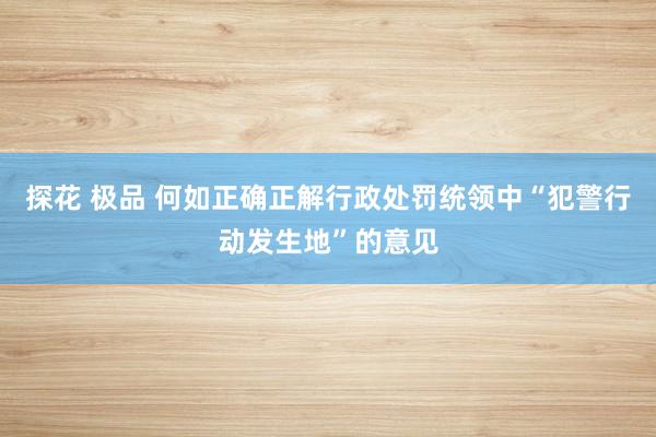 探花 极品 何如正确正解行政处罚统领中“犯警行动发生地”的意见