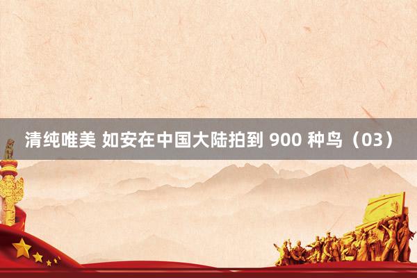 清纯唯美 如安在中国大陆拍到 900 种鸟（03）