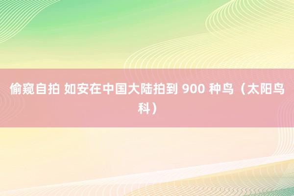 偷窥自拍 如安在中国大陆拍到 900 种鸟（太阳鸟科）