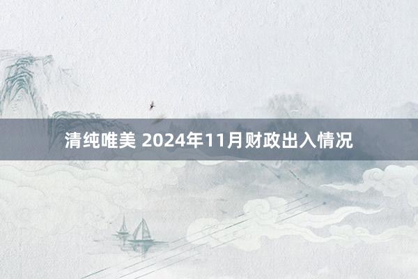 清纯唯美 2024年11月财政出入情况