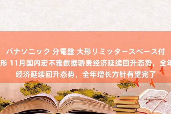 パナソニック 分電盤 大形リミッタースペース付 露出・半埋込両用形 11月国内宏不雅数据骄贵经济延续回升态势，全年增长方针有望完了