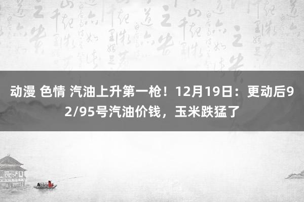 动漫 色情 汽油上升第一枪！12月19日：更动后92/95号汽油价钱，玉米跌猛了