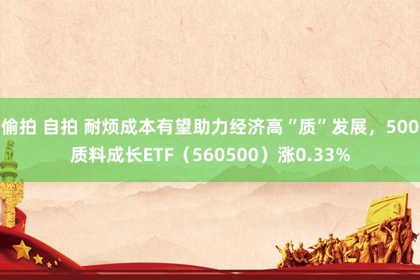 偷拍 自拍 耐烦成本有望助力经济高“质”发展，500质料成长ETF（560500）涨0.33%