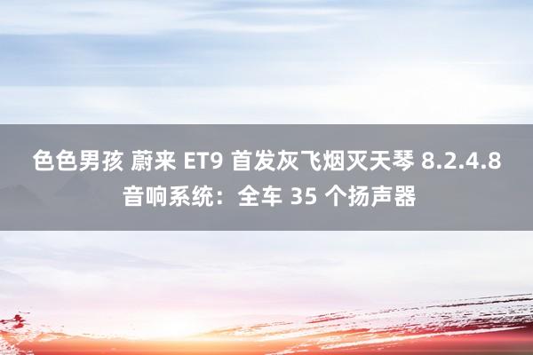 色色男孩 蔚来 ET9 首发灰飞烟灭天琴 8.2.4.8 音响系统：全车 35 个扬声器