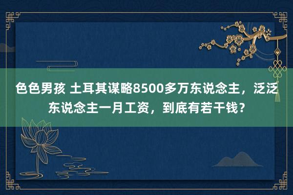 色色男孩 土耳其谋略8500多万东说念主，泛泛东说念主一月工资，到底有若干钱？