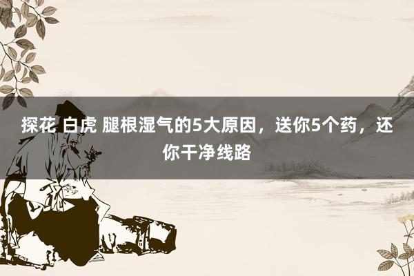 探花 白虎 腿根湿气的5大原因，送你5个药，还你干净线路