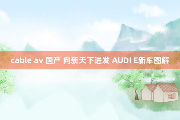 cable av 国产 向新天下进发 AUDI E新车图解