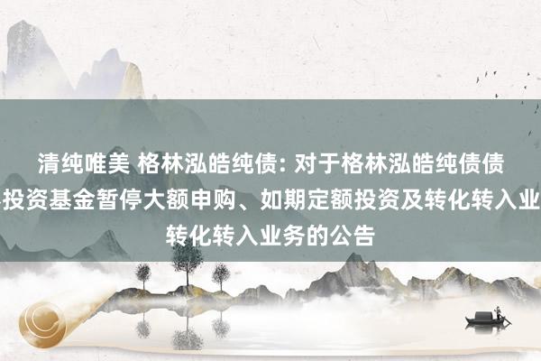 清纯唯美 格林泓皓纯债: 对于格林泓皓纯债债券型证券投资基金暂停大额申购、如期定额投资及转化转入业务的公告