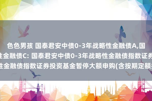 色色男孩 国泰君安中债0-3年战略性金融债A，国泰君安中债0-3年战略性金融债C: 国泰君安中债0-3年战略性金融债指数证券投资基金暂停大额申购(含按期定额投资)的公告