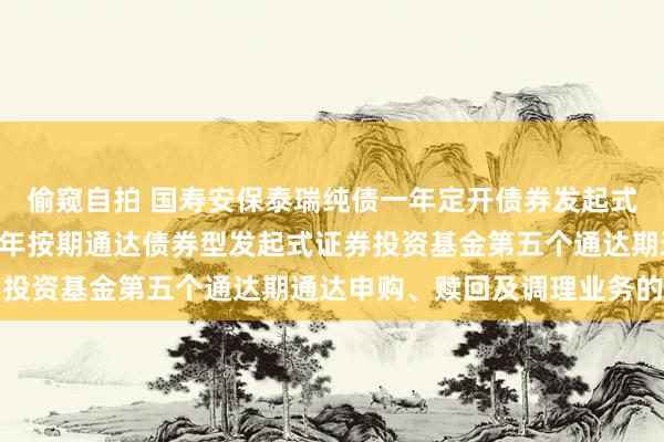 偷窥自拍 国寿安保泰瑞纯债一年定开债券发起式: 国寿安保泰瑞纯债一年按期通达债券型发起式证券投资基金第五个通达期通达申购、赎回及调理业务的公告