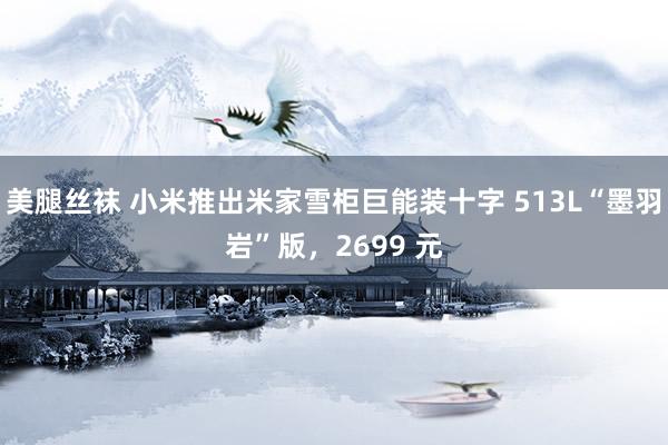 美腿丝袜 小米推出米家雪柜巨能装十字 513L“墨羽岩”版，2699 元