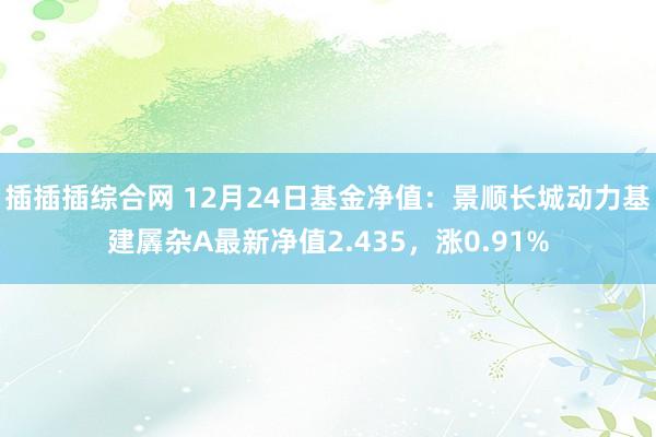 插插插综合网 12月24日基金净值：景顺长城动力基建羼杂A最新净值2.435，涨0.91%