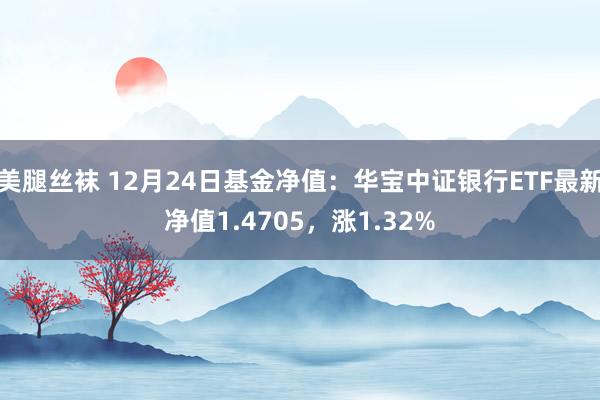 美腿丝袜 12月24日基金净值：华宝中证银行ETF最新净值1.4705，涨1.32%