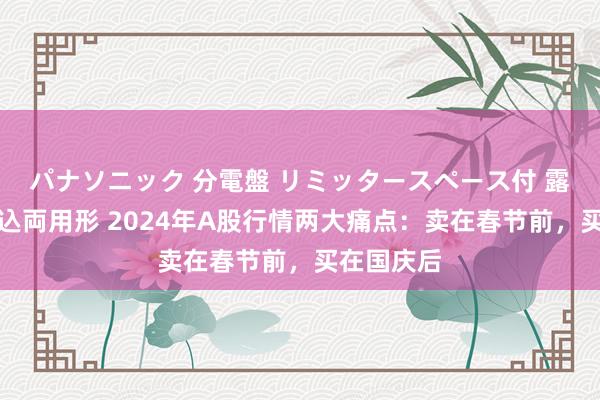 パナソニック 分電盤 リミッタースペース付 露出・半埋込両用形 2024年A股行情两大痛点：卖在春节前，买在国庆后