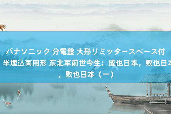 パナソニック 分電盤 大形リミッタースペース付 露出・半埋込両用形 东北军前世今生：成也日本，败也日本（一）