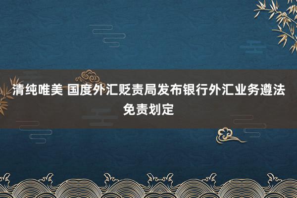 清纯唯美 国度外汇贬责局发布银行外汇业务遵法免责划定