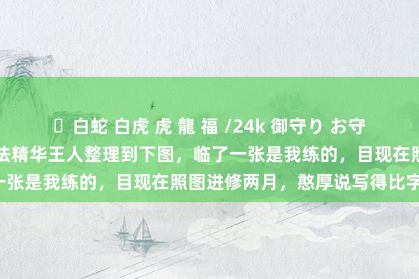 ✨白蛇 白虎 虎 龍 福 /24k 御守り お守り 练了100本字帖，把技法精华王人整理到下图，临了一张是我练的，目现在照图进修两月，憨厚说写得比字帖好！