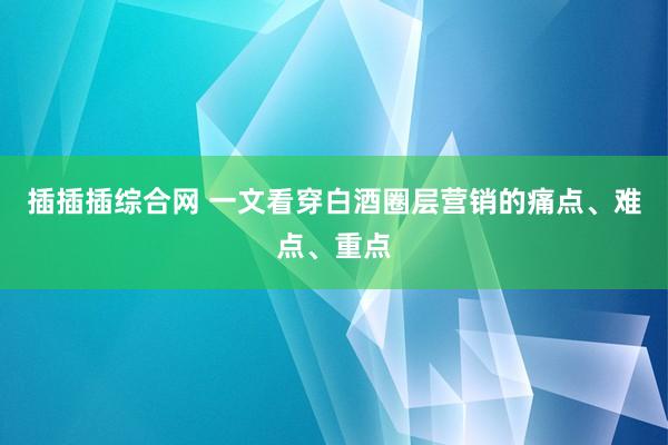 插插插综合网 一文看穿白酒圈层营销的痛点、难点、重点