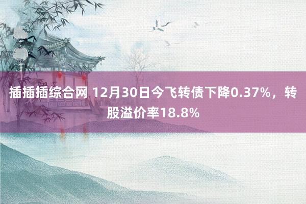 插插插综合网 12月30日今飞转债下降0.37%，转股溢价率18.8%