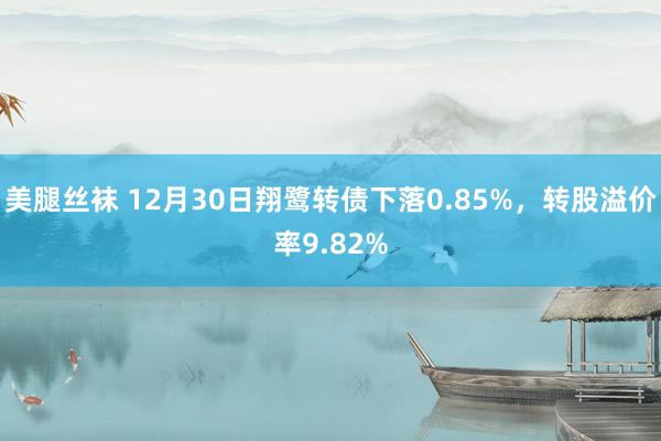 美腿丝袜 12月30日翔鹭转债下落0.85%，转股溢价率9.82%