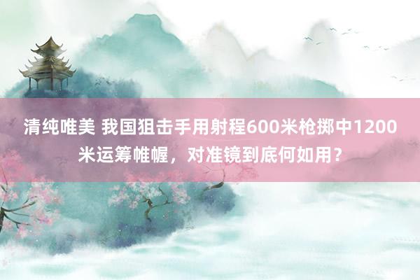 清纯唯美 我国狙击手用射程600米枪掷中1200米运筹帷幄，对准镜到底何如用？