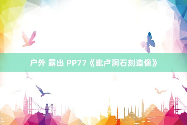 户外 露出 PP77《毗卢洞石刻造像》