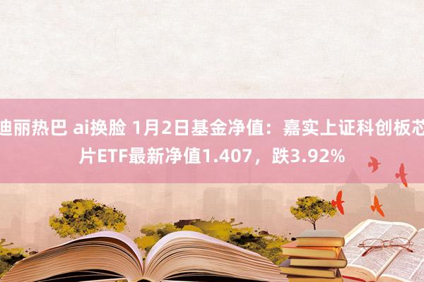 迪丽热巴 ai换脸 1月2日基金净值：嘉实上证科创板芯片ETF最新净值1.407，跌3.92%